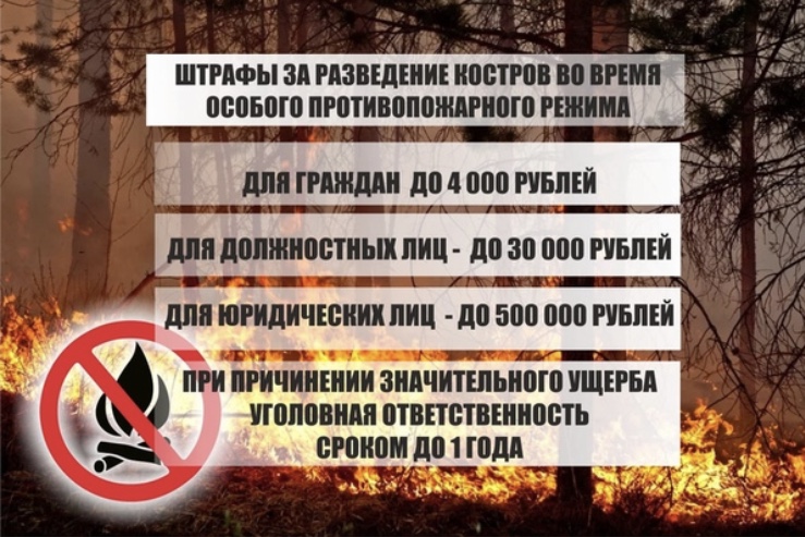 foto 05 10 2020 08 46 1