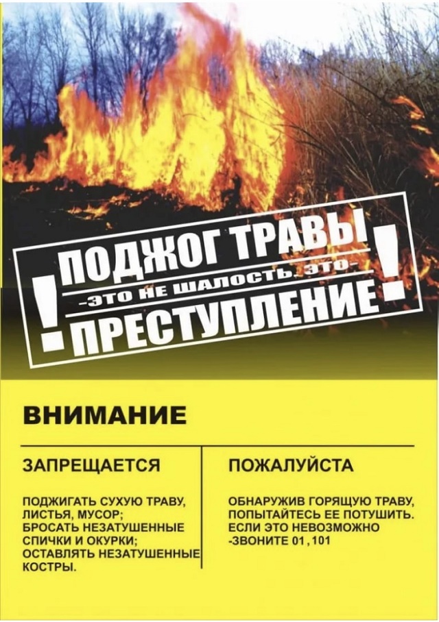 foto 2020 08 11 14 16 2
