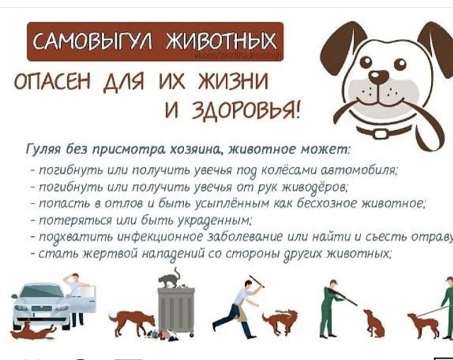 foto 05 08 2022 13 51 1