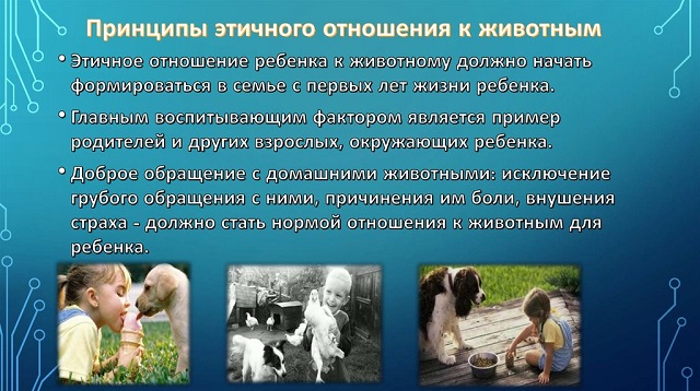 foto 05 08 2022 13 51 2