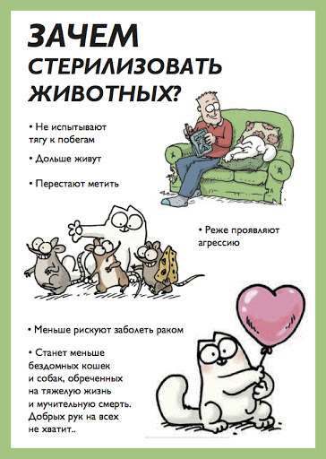 foto 05 08 2022 13 51 3